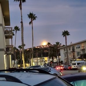 Meet your Posher, Edgar